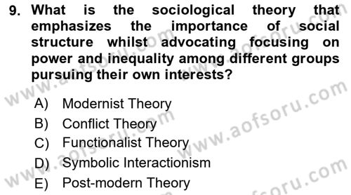 Introduction to Sociology Dersi Ara Sınavı Deneme Sınav Soruları 9. Soru