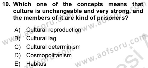 Introduction to Sociology Dersi 2021 - 2022 Yılı (Final) Dönem Sonu Sınav Soruları 10. Soru