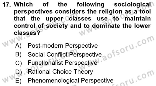 Introduction to Sociology Dersi 2021 - 2022 Yılı (Final) Dönem Sonu Sınav Soruları 17. Soru