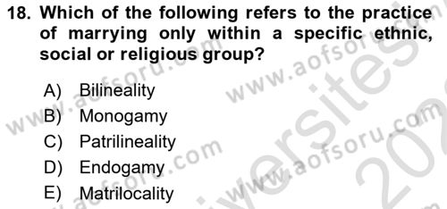 Introduction to Sociology Dersi 2021 - 2022 Yılı (Final) Dönem Sonu Sınav Soruları 18. Soru