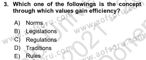Introduction to Sociology Dersi 2021 - 2022 Yılı (Final) Dönem Sonu Sınav Soruları 3. Soru