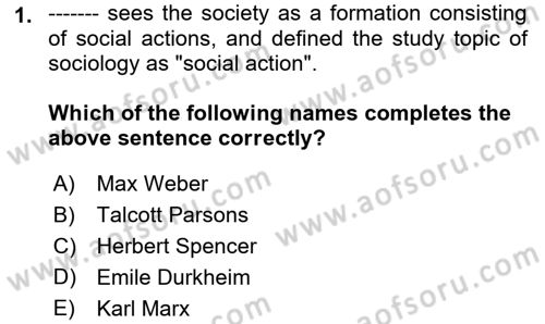Introduction to Sociology Dersi 2021 - 2022 Yılı Yaz Okulu Sınav Soruları 1. Soru