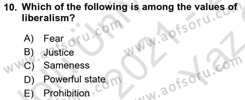 Introduction to Sociology Dersi 2021 - 2022 Yılı Yaz Okulu Sınav Soruları 10. Soru