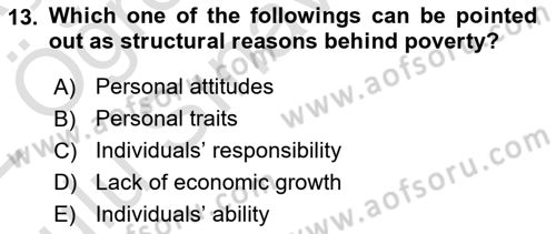 Introduction to Sociology Dersi 2021 - 2022 Yılı Yaz Okulu Sınav Soruları 13. Soru