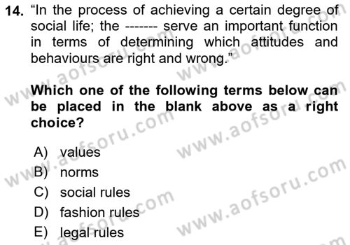 Introduction to Sociology Dersi 2021 - 2022 Yılı Yaz Okulu Sınav Soruları 14. Soru