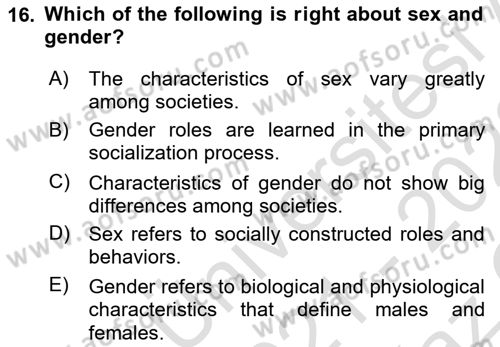 Introduction to Sociology Dersi 2021 - 2022 Yılı Yaz Okulu Sınav Soruları 16. Soru