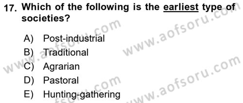 Introduction to Sociology Dersi 2021 - 2022 Yılı Yaz Okulu Sınav Soruları 17. Soru