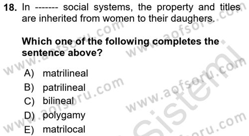 Introduction to Sociology Dersi 2021 - 2022 Yılı Yaz Okulu Sınav Soruları 18. Soru