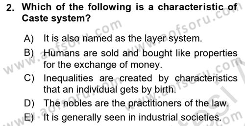 Introduction to Sociology Dersi 2021 - 2022 Yılı Yaz Okulu Sınav Soruları 2. Soru