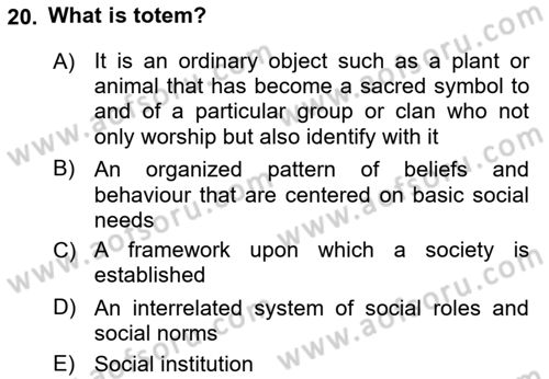 Introduction to Sociology Dersi 2021 - 2022 Yılı Yaz Okulu Sınav Soruları 20. Soru