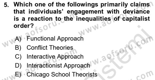 Introduction to Sociology Dersi 2021 - 2022 Yılı Yaz Okulu Sınavı 5. Soru