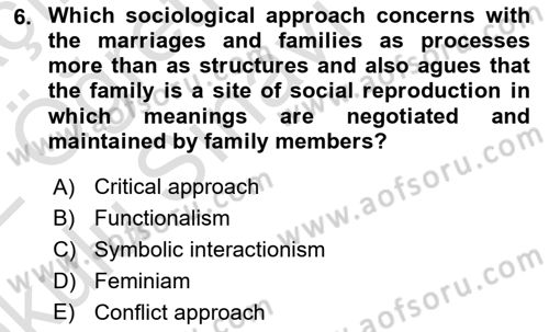Introduction to Sociology Dersi 2021 - 2022 Yılı Yaz Okulu Sınav Soruları 6. Soru