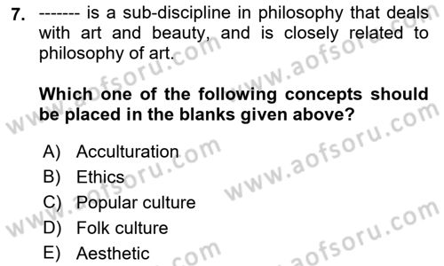 Introduction to Sociology Dersi 2021 - 2022 Yılı Yaz Okulu Sınav Soruları 7. Soru