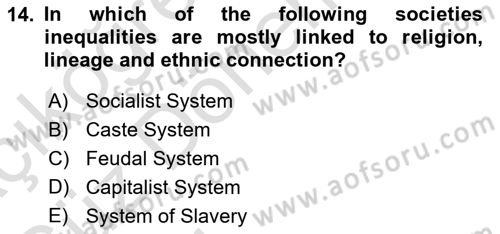 Introduction to Sociology Dersi Ara Sınavı Deneme Sınav Soruları 14. Soru