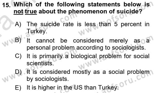 Introduction to Sociology Dersi Ara Sınavı Deneme Sınav Soruları 15. Soru