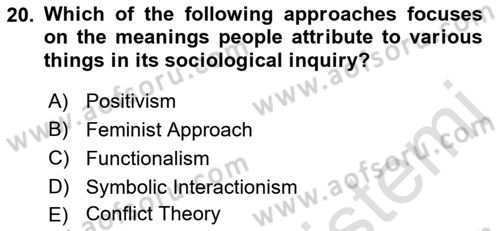 Introduction to Sociology Dersi Ara Sınavı Deneme Sınav Soruları 20. Soru