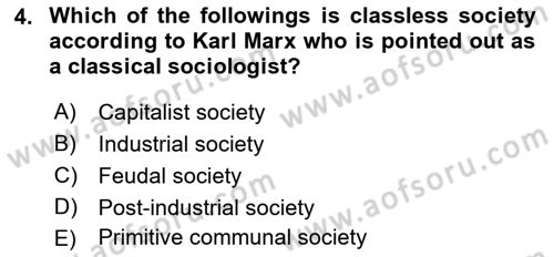 Introduction to Sociology Dersi 2022 - 2023 Yılı (Vize) Ara Sınav Soruları 4. Soru