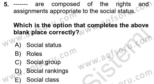 Introduction to Sociology Dersi Ara Sınavı Deneme Sınav Soruları 5. Soru