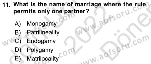Introduction to Sociology Dersi 2022 - 2023 Yılı (Final) Dönem Sonu Sınav Soruları 11. Soru