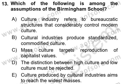 Introduction to Sociology Dersi 2022 - 2023 Yılı (Final) Dönem Sonu Sınav Soruları 13. Soru