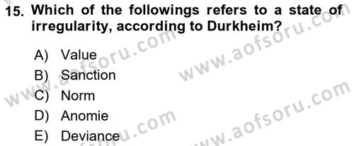 Introduction to Sociology Dersi 2022 - 2023 Yılı (Final) Dönem Sonu Sınav Soruları 15. Soru