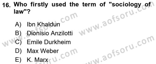 Introduction to Sociology Dersi 2022 - 2023 Yılı (Final) Dönem Sonu Sınav Soruları 16. Soru