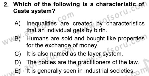 Introduction to Sociology Dersi 2022 - 2023 Yılı (Final) Dönem Sonu Sınav Soruları 2. Soru