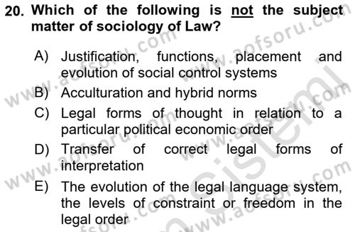 Introduction to Sociology Dersi 2022 - 2023 Yılı (Final) Dönem Sonu Sınav Soruları 20. Soru