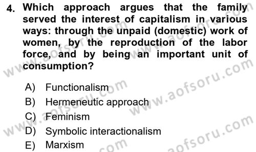 Introduction to Sociology Dersi 2022 - 2023 Yılı (Final) Dönem Sonu Sınav Soruları 4. Soru
