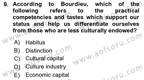 Introduction to Sociology Dersi 2022 - 2023 Yılı (Final) Dönem Sonu Sınav Soruları 9. Soru