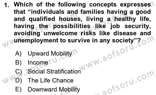 Introduction to Sociology Dersi 2022 - 2023 Yılı Yaz Okulu Sınav Soruları 1. Soru