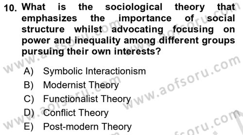 Introduction to Sociology Dersi 2022 - 2023 Yılı Yaz Okulu Sınav Soruları 10. Soru