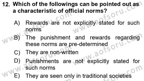 Introduction to Sociology Dersi 2022 - 2023 Yılı Yaz Okulu Sınav Soruları 12. Soru
