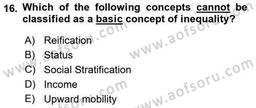 Introduction to Sociology Dersi 2022 - 2023 Yılı Yaz Okulu Sınav Soruları 16. Soru