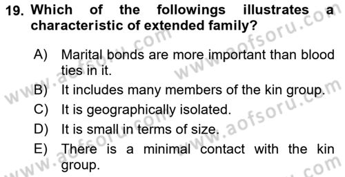 Introduction to Sociology Dersi 2022 - 2023 Yılı Yaz Okulu Sınav Soruları 19. Soru