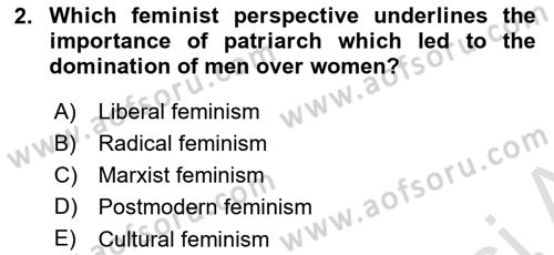 Introduction to Sociology Dersi 2022 - 2023 Yılı Yaz Okulu Sınav Soruları 2. Soru