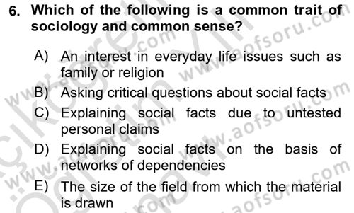 Introduction to Sociology Dersi 2022 - 2023 Yılı Yaz Okulu Sınav Soruları 6. Soru