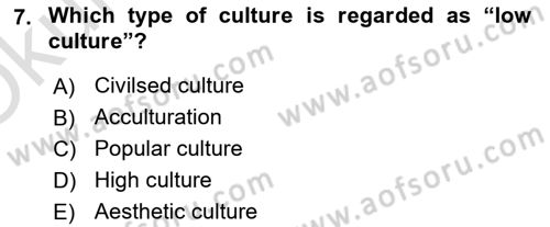Introduction to Sociology Dersi 2022 - 2023 Yılı Yaz Okulu Sınav Soruları 7. Soru