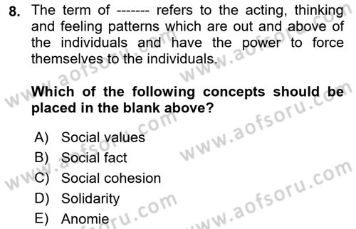 Introduction to Sociology Dersi 2022 - 2023 Yılı Yaz Okulu Sınav Soruları 8. Soru