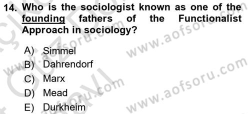 Introduction to Sociology Dersi Ara Sınavı Deneme Sınav Soruları 14. Soru