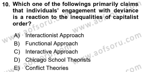 Introduction to Sociology Dersi 2023 - 2024 Yılı (Final) Dönem Sonu Sınav Soruları 10. Soru
