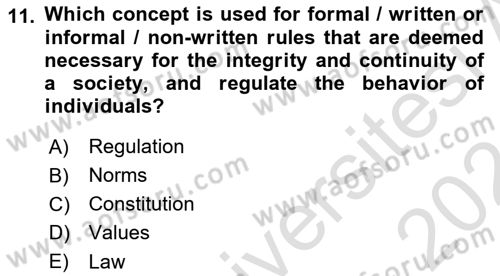 Introduction to Sociology Dersi 2023 - 2024 Yılı (Final) Dönem Sonu Sınav Soruları 11. Soru