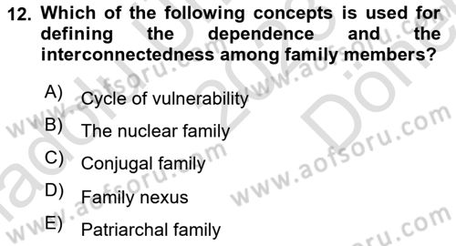 Introduction to Sociology Dersi 2023 - 2024 Yılı (Final) Dönem Sonu Sınav Soruları 12. Soru