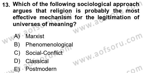 Introduction to Sociology Dersi 2023 - 2024 Yılı (Final) Dönem Sonu Sınav Soruları 13. Soru