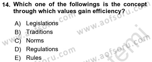 Introduction to Sociology Dersi 2023 - 2024 Yılı (Final) Dönem Sonu Sınav Soruları 14. Soru