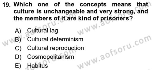 Introduction to Sociology Dersi 2023 - 2024 Yılı (Final) Dönem Sonu Sınav Soruları 19. Soru