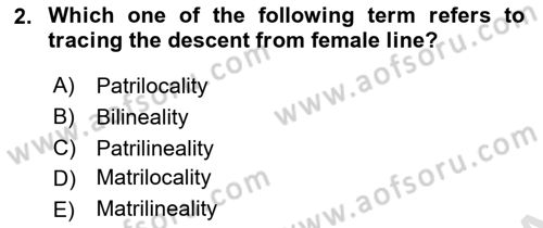 Introduction to Sociology Dersi 2023 - 2024 Yılı (Final) Dönem Sonu Sınav Soruları 2. Soru