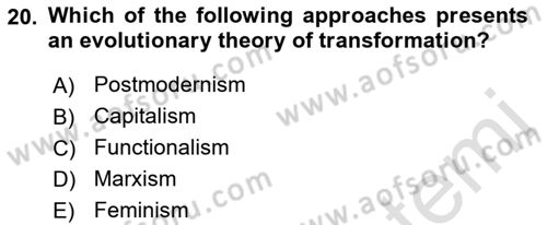 Introduction to Sociology Dersi 2023 - 2024 Yılı (Final) Dönem Sonu Sınavı 20. Soru