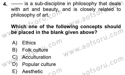 Introduction to Sociology Dersi 2023 - 2024 Yılı (Final) Dönem Sonu Sınav Soruları 4. Soru