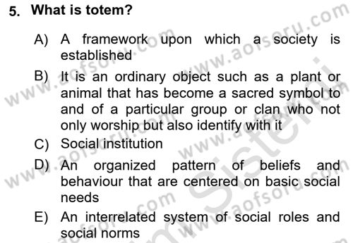 Introduction to Sociology Dersi 2023 - 2024 Yılı (Final) Dönem Sonu Sınav Soruları 5. Soru